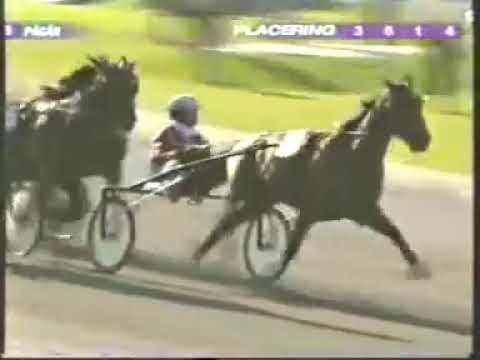 Aby Stora Pris 2nd Heat 2009 -Torvald Palema