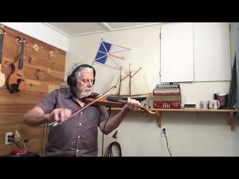 leigh violin.  4/4 travel style with frets image 7
