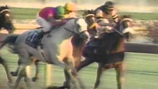 1996 Breeders&#39; Cup Classic - Alphabet Soup + Post Race