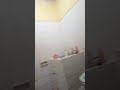 JAJAN PSK MUDA LAGI GESSS