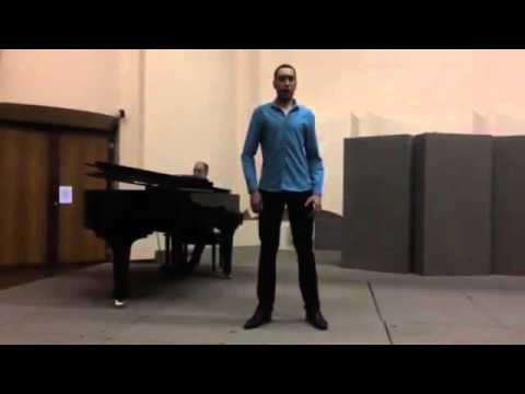 In diesen Heilgen hallen   W A  Mozart