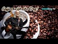Independent Recording Artist Ken Holt EP817