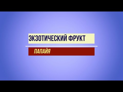 Экзотически фрукт папайя Первый раз пробую папайя Мое мнение