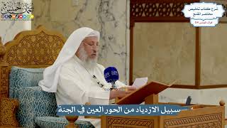 5046- سبيل الازدياد من الحور العين في الجنة - عثمان الخميس