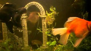 My Christmas-prayer by St.Etienne @ RTL 6