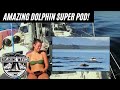BROUGHT TO TEARS - Incredible Marine Life Encounters in BC - S2.Ep34