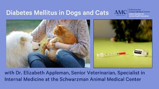 Diabetes Mellitus in Dogs and Cats