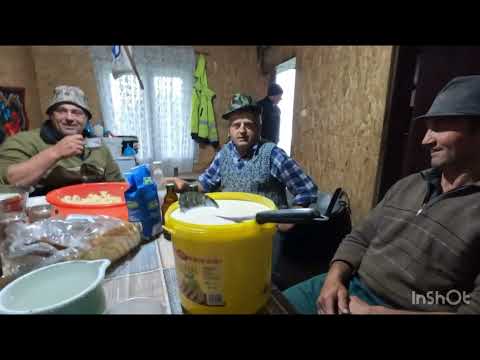 Stana Baciului Avacum from Ilva Mică. Bistrita - How Cheese is Made in the Mountains.🏔️