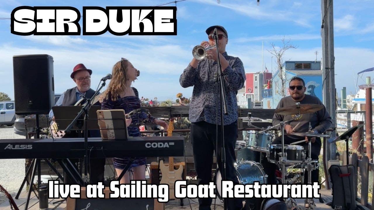 Promotional video thumbnail 3 for Honey Disposition Live Music