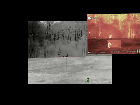 GOYOJO GRS225RF $900ish thermal optic vs mars one leaf M1000 thermal optic 1700$, both 170 yards