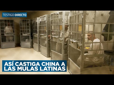 Life imprisonment and death penalty: this is how China punishes Latin mules in its country