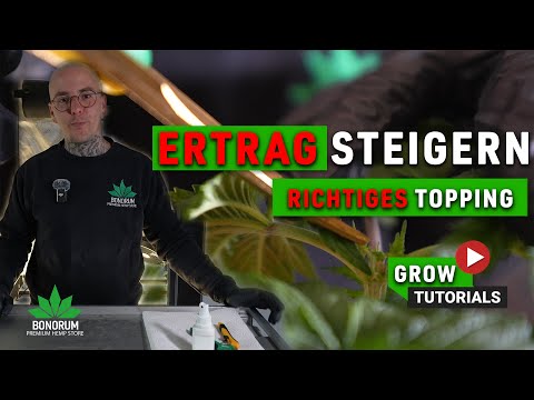 Increase yield through proper topping | Fred’s AC INFINITY Grow | Simple tutorial for all growers
