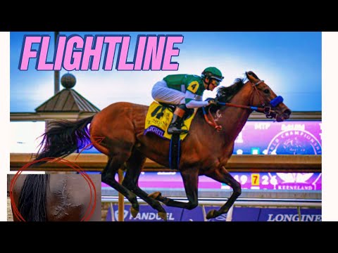 FLIGHTLINE el mejor caballo de carreras del mundo en la actualidad 🏇🏆