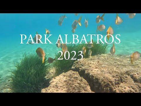Park Albatros - San Vincenzo 2023