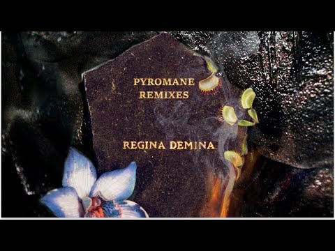 Regina Demina - Pyromane (Fifth Era Remix)