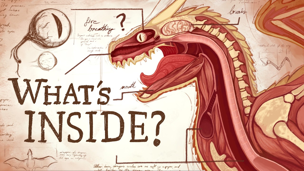 How to Dissect Your Dragon