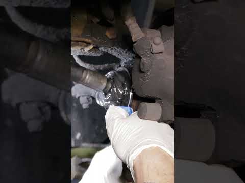 Applpying grease to the CV joints