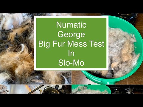 Numatic George, Big Fur Mess Test in Slo-Mo