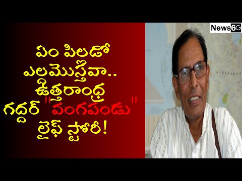 vangapandu prasad rao biograph