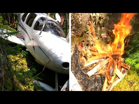 How Pilot Went Into Survival Mode After Plane Crashed