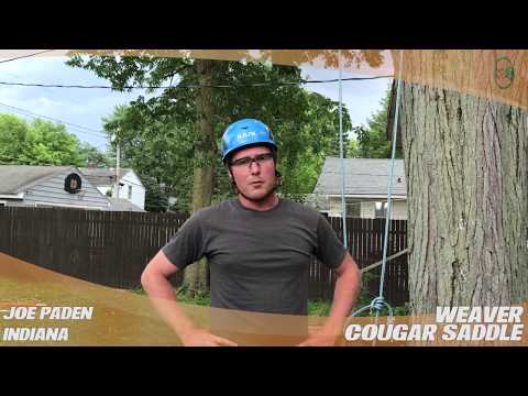 YouTube Thumbnail 5mxEAShILfo