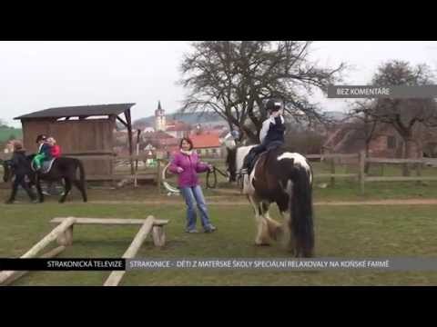 Děti na koňské farmě