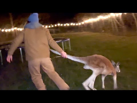 How to Catch and Cook Kangaroo (Poaching DaBaby)