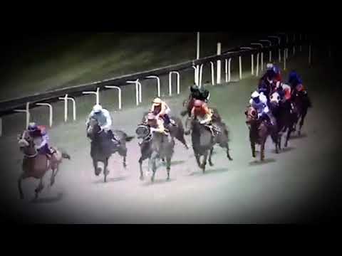 Gavin Lerena Zouves #Turfontien