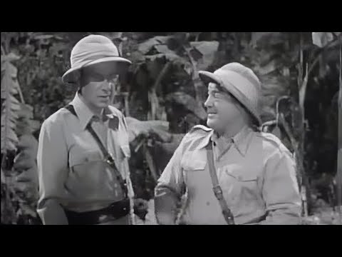 Africa Screams (Abbott & Costello , 1949) Adventure, Comedy | Movie, Subtitles