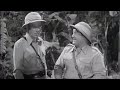 Africa Screams Abbott Costello 1949 Adventure Comedy Movie Subtitles
