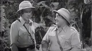 Abbott &amp; Costello | Africa Screams (1949) Adventure, Comedy | Full Movie, Subtitles