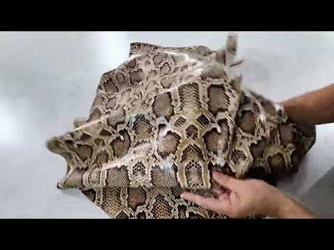 SNAKE LEATHER  3718