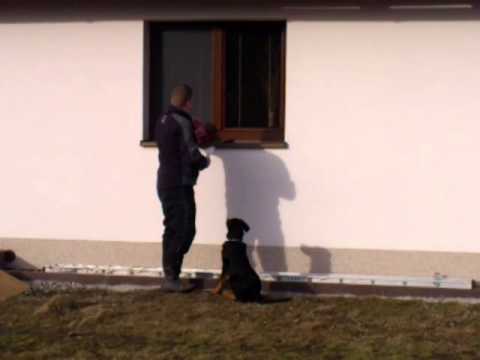 Alliance L´Épice de la Vie - 4 months old