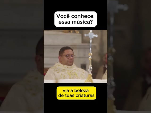 Preview do vídeo