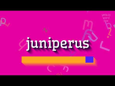 How to say "juniperus"! (High Quality Voices)