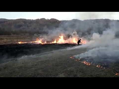 Incendiu padure Beleţi Negreşti