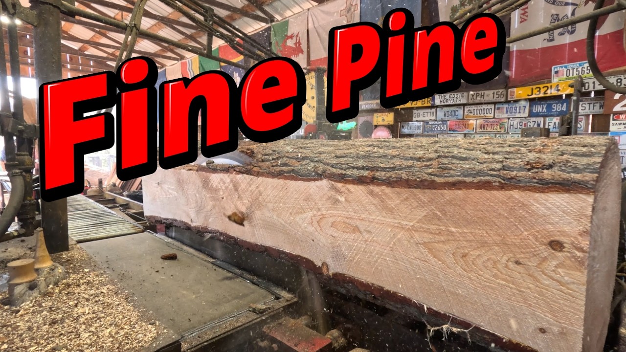 One very nice white pine log # 852