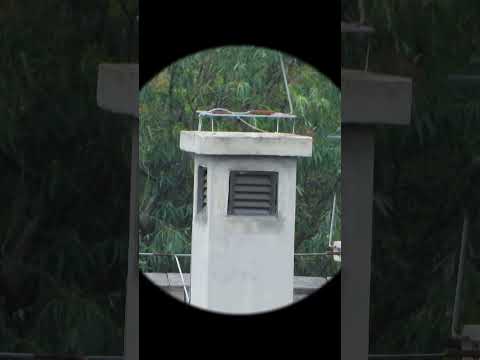 USCAMEL 10x42 Binoculars for Adults, High Power Waterproof Binoculars