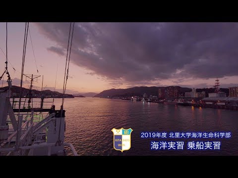 海洋生命科学科 2019年度 海洋実習（JAMSTEC・豊潮丸）
