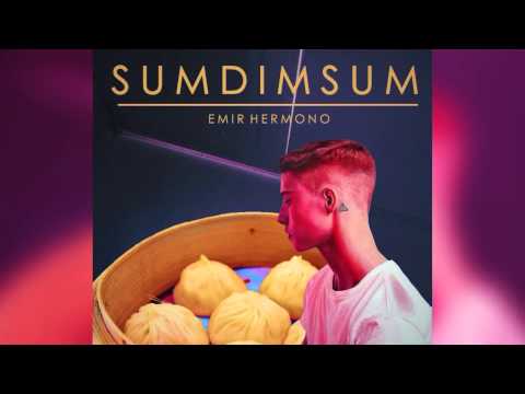 Emir Hermono - SUMDIMSUM (Official Audio)