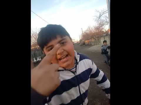 Cei mai bătăuși din Scarisoara 2018