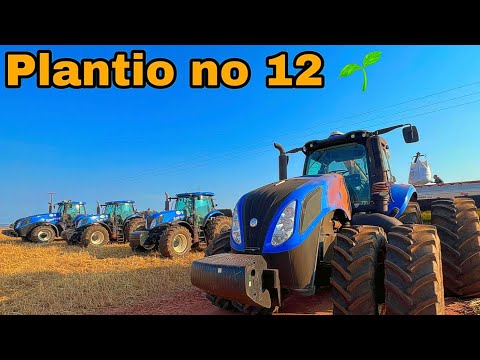 Plantio soja 22/23??? #agro#plantio#roça