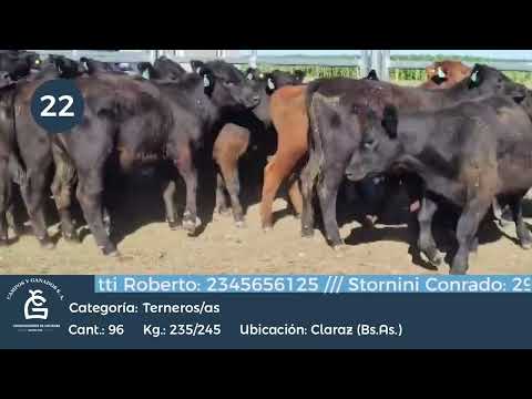 Lote M Y H - Claraz Bs As