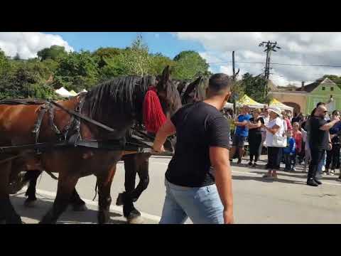 Parada portului popular la Gârbova 2022