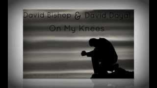 David Bishop & David Dayal - On My Knees
