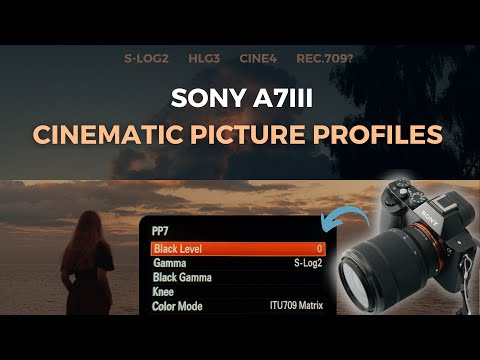 Welche Sony A7iii-Bildprofile eignen sich am besten für Filmaufnahmen?