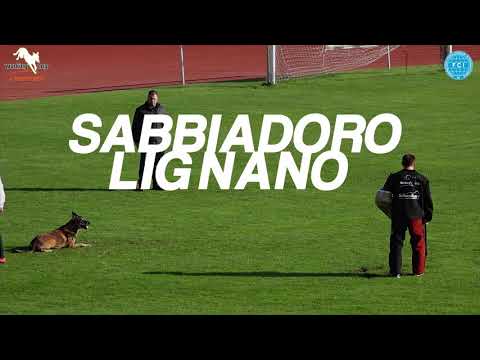 FCI IPO World Championship 2018