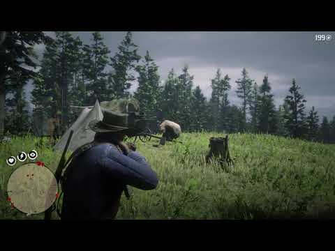 Bear Attacks Rival Gang Camp