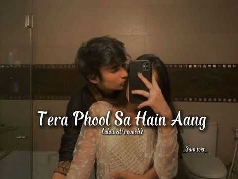 Tera Phool Sa Hain Ang | Lofi | (Slowed+Reverb) | _3am.text_ #slowedandreverb
