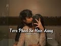 Tera Phool Sa Hain Ang Lofi Slowed Reverb 3am Text Slowedandreverb
